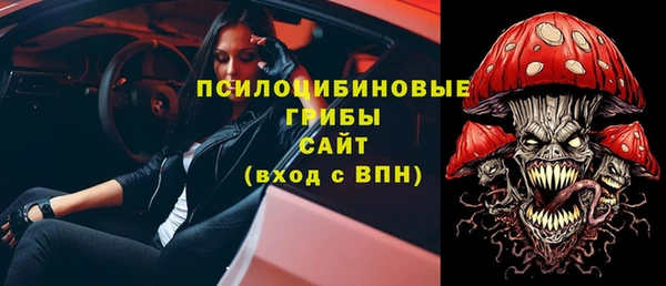 дурь Надым