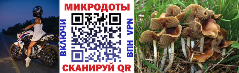Псилоцибиновые грибы мухоморы дарнет шоп Новый Оскол